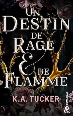 Télécharger le livre :  Un destin de rage & de flamme