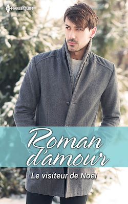 Télécharger le livre :  Le visiteur de Noël