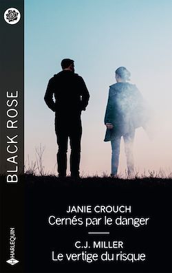 Télécharger le livre :  Cernés par le danger - Le vertige du risque