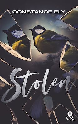 Télécharger le livre :  Stolen