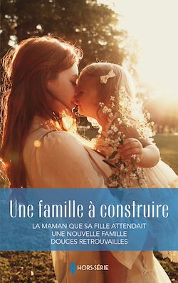 Télécharger le livre :  Une famille à construire