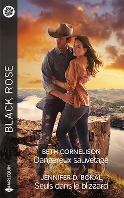 Télécharger le livre :  Dangereux sauvetage - Seuls dans le blizzard