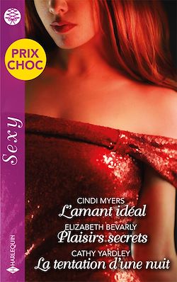 Télécharger le livre :  L'amant idéal - Plaisirs secrets - La tentation d'une nuit