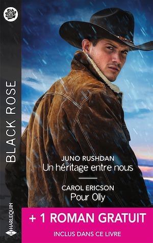 Download the eBook: Un héritage entre nous - Pour Olly - Au coeur de la tempête