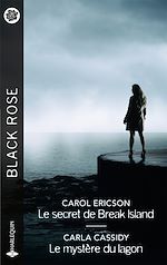 Télécharger le livre :  Le secret de Break Island - Le mystère du lagon