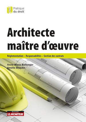 Téléchargez le livre :  Architecte maître d'oeuvre