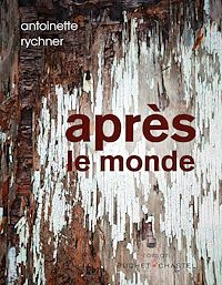 Téléchargez le livre :  Après le monde