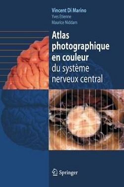 Télécharger le livre :  Atlas photographique en couleur du système nerveux central