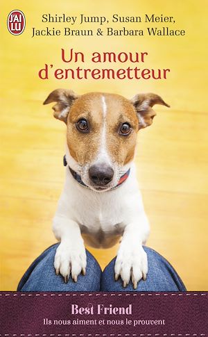 Téléchargez le livre :  Un amour d'entremetteur