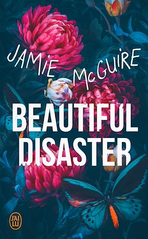 Téléchargez le livre :  Beautiful Disaster
