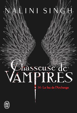 Téléchargez le livre :  Chasseuse de vampires (Tome 14) - Le feu de l'Archange