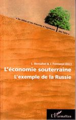 Télécharger le livre :  L'économie souterraine
