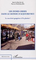 Télécharger le livre :  Les Zones grises dans le monde d'aujourd'hui