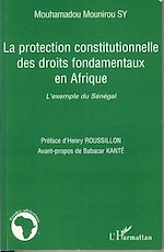 Download this eBook La protection constitutionnelle des droits fondamentaux en Afrique
