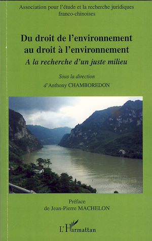 Téléchargez le livre :  Du droit de l'environnement au droit à l'environnement