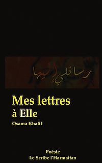 Télécharger le livre :  Mes lettres à Elle