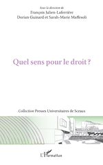 Télécharger le livre :  Quel sens pour le droit ?