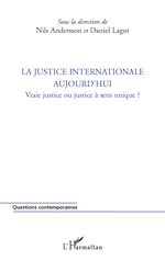 Télécharger le livre :  La justice internationale aujourd'hui