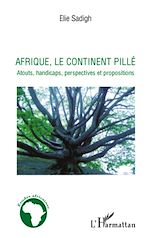 Télécharger le livre :  Afrique, le continent pillé