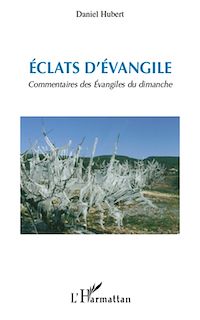 Télécharger le livre :  Eclats d'Evangile