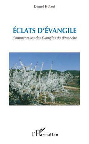 Téléchargez le livre :  Eclats d'Evangile