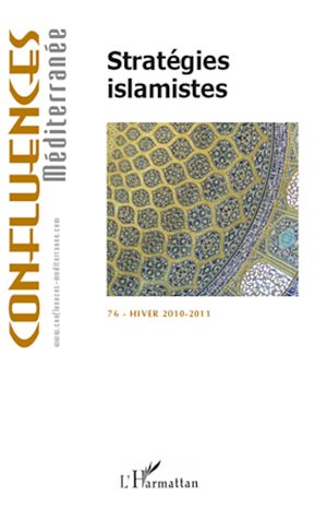 Téléchargez le livre :  Stratégies islamistes