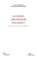 Télécharger le livre :  La colère, une passion politique ? (Volume 3)