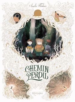 Télécharger le livre :  Chemin perdu