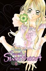 Télécharger le livre :  Secret Sweetheart T06
