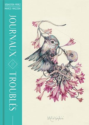 Téléchargez le livre :  Journaux troublés