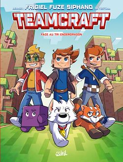 Télécharger le livre :  Teamcraft T01