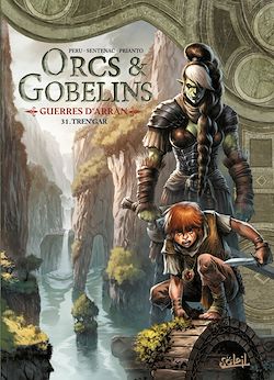 Télécharger le livre :  Orcs et Gobelins T31 - Guerres d'Arran