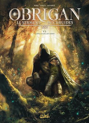 Téléchargez le livre :  Obrigan - Le Serment des Druides T01 - La Sève, le sang, les larmes