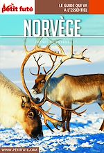 Download this eBook NORVÈGE 2019 Carnet Petit Futé