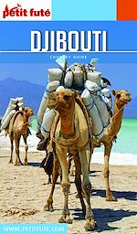 Download this eBook DJIBOUTI 2020/2021 Petit Futé