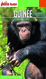 Download this eBook GUINÉE 2020 Petit Futé