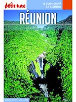 Download this eBook LA RÉUNION 2019 Carnet Petit Futé