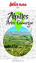 Télécharger le livre :  ALPILLES - CAMARGUE - ARLES 2021 Petit Futé