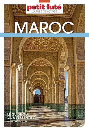 Téléchargez le livre :  MAROC 2023 Carnet Petit Futé