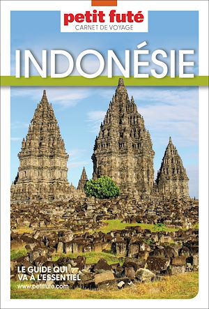 Téléchargez le livre :  Guide Indonésie 2026 Carnet Petit Futé
