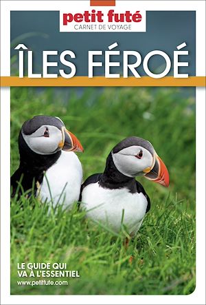 Téléchargez le livre :  Guide Iles Feroe 2026 Carnet Petit Futé