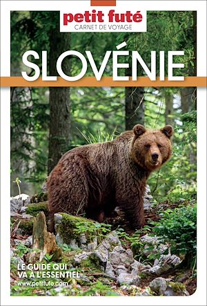 Téléchargez le livre :  Guide Slovénie 2026 Carnet Petit Futé