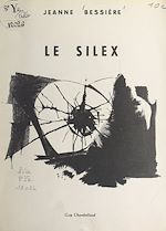 Télécharger le livre :  Le silex