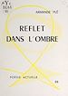 Télécharger le livre :  Reflet dans l'ombre