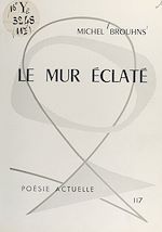 Télécharger le livre :  Le mur éclaté