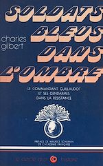 Télécharger le livre :  Soldats bleus dans l'ombre