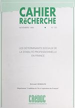 Télécharger le livre :  Les déterminants sociaux de la stabilité professionnelle en France