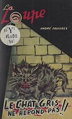 Télécharger le livre :  Le chat gris ne répond pas