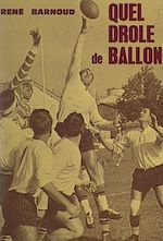Télécharger le livre :  Quel drôle de ballon !
