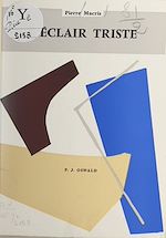 Télécharger le livre :  L'e´clair triste